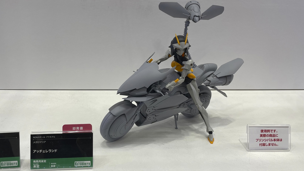 アッチェレランド画像
